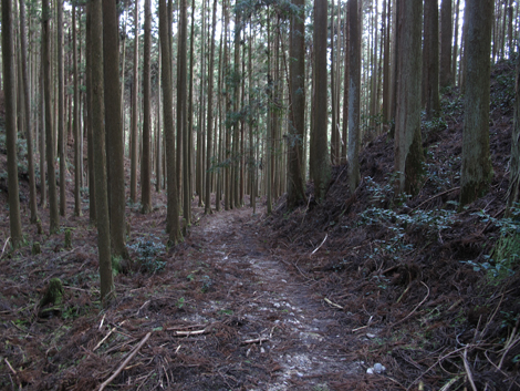 20140105hike (289)